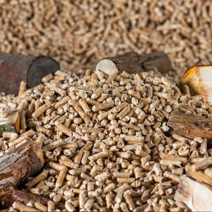 Granulés de biomasse à haute énergie | Biocarburant écologique pour chaudières industrielles et centrales électriques | Qualité d'exportation de l'Inde - Product Image 1