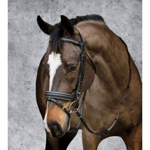 Bride de Dressage Cristal - Product Image 1