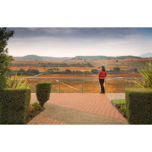 Cantos visita borsa da Picnic 20 € - Product Image 1