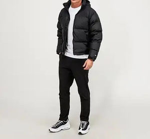 Chaqueta acolchada de invierno con logotipo personalizado para hombre, ropa de calle impermeable clásica retro con cremallera, venta al por mayor directa de fábrica para primavera - Product Image 2