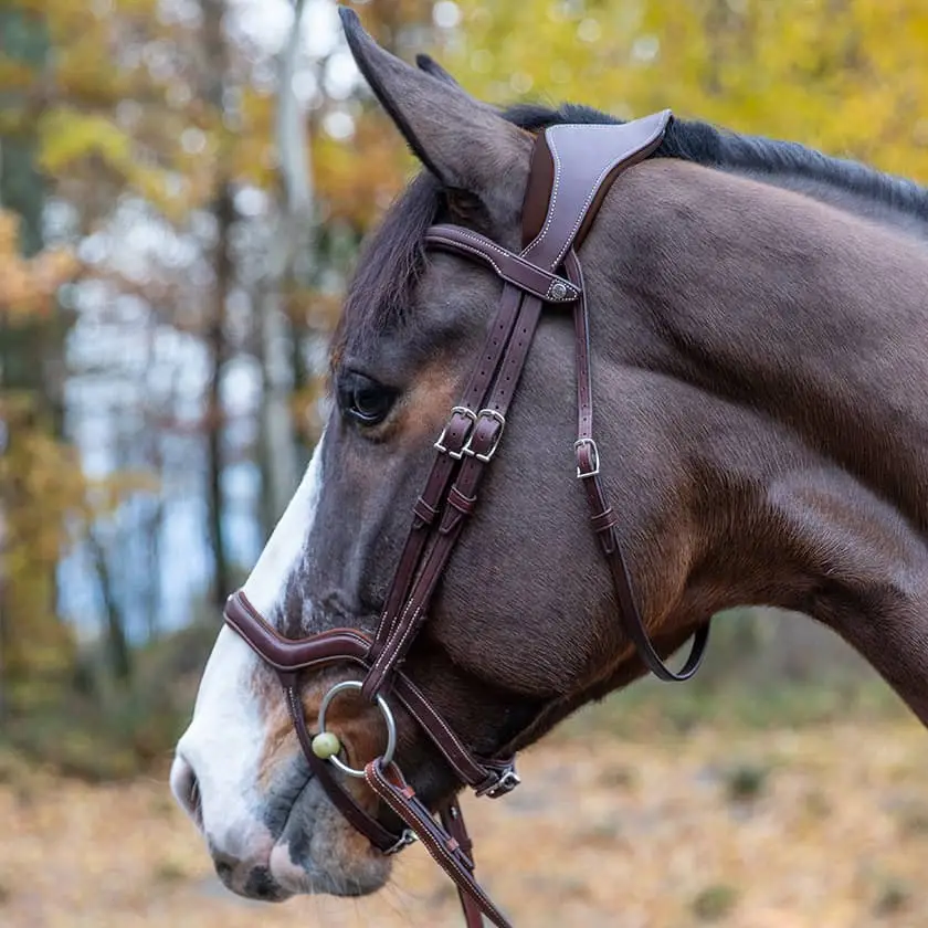 La briglia anatomica è stata sviluppata con i professionisti della salute equestri. La fascia dei cuscinetti ergonomici gratis