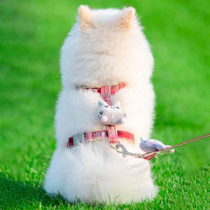 Imbracatura Regolabile Antifuga per Animali Domestici in Neoprene e Oxford Traspirante, Taglia XL, Sicura per Passeggiate con Cani e Gatti - Product Image 1