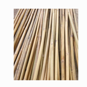 Straight <b>Bamboo</b> Pole Material / Big Size <b>Bamboo</b> Poles for Construction/ <b>Bamboo</b> <b>Fence</b> Origin From Vietnam - Product Image 6