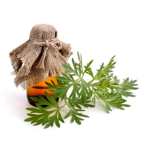 Compre botellas de aceite esencial de Armoise de grado cosmético de alta calidad de 100ml/30ml/1000ml que hacen lociones de base de crema UV hidratante - Product Image 4