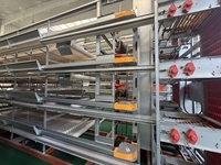 Équipement de cage à poulets en gros, cage à batterie en métal galvanisé pour élevage avicole commercial