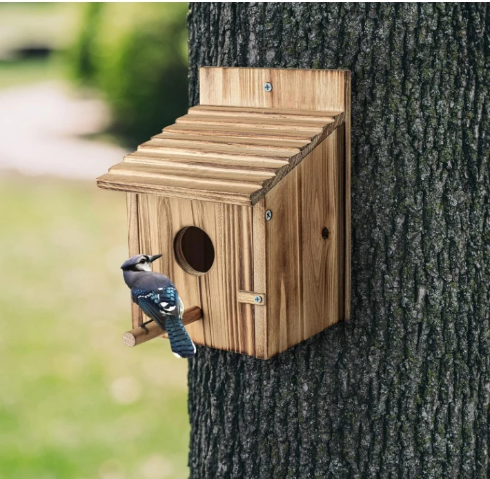 small bird house