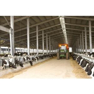 Granja de vacas <span class=keywords><strong>lecheras</strong></span> granja de vacas establo industrial ganadera cobertizo lechero - Product Image 5