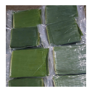 Rouleaux de feuille de bananier congelés pelés traités au Vietnam Feuille de bananier congelée idéale pour emballer du riz collant - Product Image 3