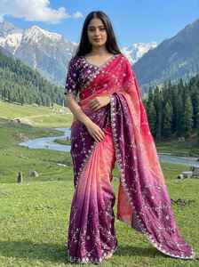 Sari avec bordure brodée et travail sur toute la surface, sari de couleur magnifique, sari de soirée, bordure avec travail de sequins sur toute la surface du sari - Product Image 2