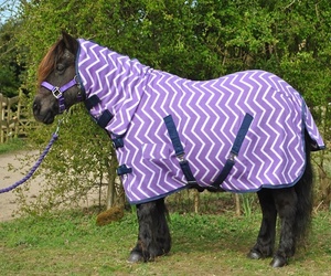 Fabricante de fábrica Equine Winter Horse Alfombra Impermeable Exterior Shell Poliéster Nylon Forro Tela Kanpur India Tack Shop - Product Image 2