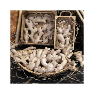 Proveedor mayorista de jengibre fresco Exportador de fábrica de jengibre de alta calidad al mejor precio para compradores globales Jengibre fresco a granel - Product Image 6