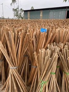 MITvn Simple Natural <b>Wooden</b> <b>Stake</b> Pole for Tree Support Garden & Farm Fence-Model MIT01 - Product Image 4