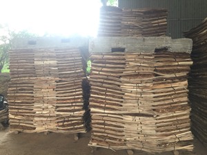 Fábrica de Vietnam, venta al por mayor, chapa de madera de eucalipto, precio barato industrial, corte rotativo, chapa Natural, construcción, uso de núcleo de madera contrachapada - Product Image 2