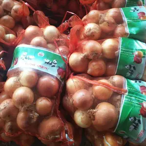 Fornitore di fabbrica esportatore di cipolle cipolle fresche pakistane cipolle all'ingrosso