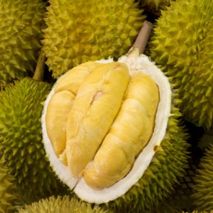 Superventas de alta calidad, vendedor congelado de Durian en Vietnam - Product Image 6