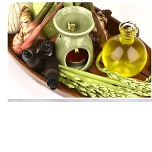 Huile essentielle de galanga pur de qualité supérieure extrait de plantes cultivées sauvages en bouteille ou produit à tambour - Product Image 3