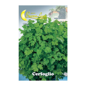 Semi Orto Maggiorana - Product Image 3