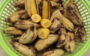 ผลไม้ที่มีชื่อเสียงจากเวียดนาม-กล้วยนึ่งแช่แข็ง-กล้วยซาบาแช่แข็ง-ผลไม้แช่แข็งคุณภาพสูง - Product Image 5