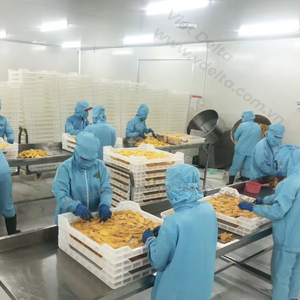 Vente de gros Mangue déshydratée aux fruits confits MANGUE SÉCHÉE - Product Image 5