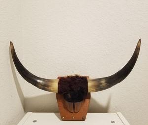 Crâne de buffle naturel sculpté à la main, écologique, à suspendre ou à poser, pour décoration murale - Product Image 1