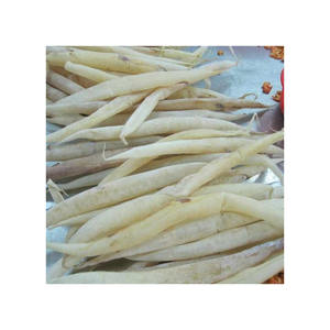 Anguille Poisson Maw en différentes tailles et options d'emballage disponibles pour les commandes à grande échelle - Product Image 6