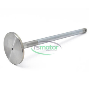 Válvula de entrada de piezas originales de Venta caliente MWM RS-12304754 adecuada para TBG 604 ; TBG 620 ; TCG 2020 ; CG 170 - Product Image 1