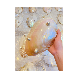 Plats en coquillage artisanaux exquis : grandes assiettes décoratives en nacre, vaisselle en nacre naturelle irisée pour les intérieurs de luxe - Product Image 2