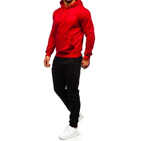 Vente en gros Sweats à capuche personnalisés Décontracté Uni Jogging Chaud Doux Survêtements Fitness Broderie Polyester Survêtements Ensembles pour Hommes - Product Image 5