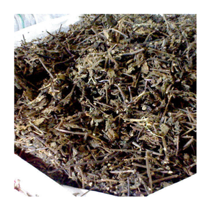 ใบเจลลี่หญ้าดำจากเวียดนามผู้จำหน่ายขายส่งสำหรับตลาดโลก - Product Image 2