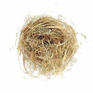 Alimento para animales de avena de heno de alfalfa seca de alta calidad en pacas para peces, perros, ganado, caballos, cerdos, maíz/maíz, alimentación para animales de calidad al por mayor - Product Image 2