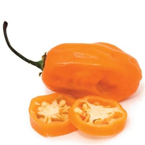 Pimiento Habanero Triturado de Calidad de Exportación Global para Salsas Picantes, Procesamiento por Deshidratación, Fabricación de Especias, 24 Meses de Vida Útil - Product Image 1