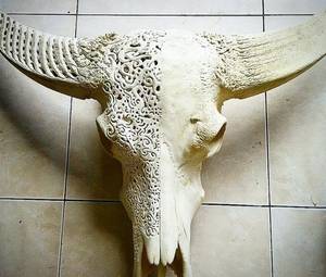 Cráneo artesanal moderno de búfalo y carnero tallado a mano con cuernos majestuosos para una pared o soporte atemporal - Product Image 4