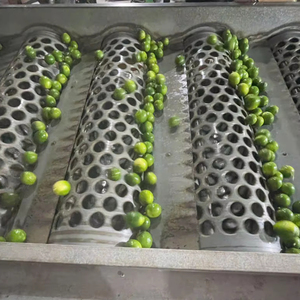 ผลไม้รสเปรี้ยวมะนาวสดไร้เมล็ดปริมาณมากสินค้าส่งออกจากเวียดนาม - Product Image 1