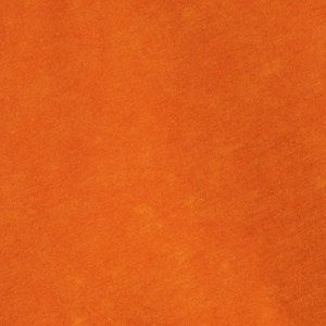 Top Corto Ligero para Mujer 2026, Ropa Casual de Primera Calidad, Top Corto para Mujer Hecho en Pakistán - Product Image 6