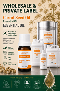 Aceite Esencial Puro de Semilla de Zanahoria Turca Natural, Destilado al Vapor, Venta al por Mayor, Etiqueta Privada, Cosmético para Piel Madura - Product Image 3