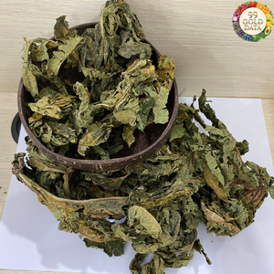 Feuilles de papaye séchées Origine Vietnam Fabriquées avec des feuilles de papaye naturelles pour les boissons et la transformation des ingrédients - Product Image 1