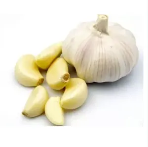 신선한 마늘 새로운 작물 공급 마늘 도매 마늘 생산자에서 일반 흰색과 순수한 흰색