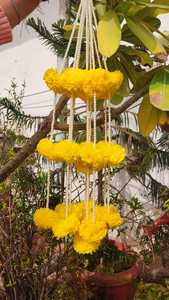 Marigold fait à la main fleur moelleuse avec des cordes de perles lustre pour la décoration Marigold Jhoomar pour mariage Haldi et Temple Deco - Product Image 2