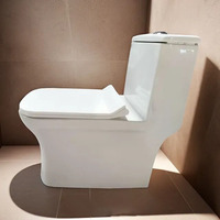 WC suspendu en céramique de luxe blanc One Piece, modèle Sigma n°119, taille 225 mm, cuvette allongée