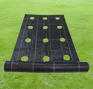 גן כיסוי קרקע מחצלת בד בד חממות בד בד חממות בד בד טופח אוכמניות אוכמניות - Product Image 1