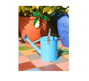 Lata DE AGUA DE Metal de alta calidad, regadera de diseño duradero elegante para el jardín del hogar, color rojo, tamaño mediano - Product Image 5