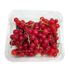 ลูกเกดสดหวานสดใหม่พร้อมซื้อจำนวนมากในราคาโรงงานที่ไม่แพง - Product Image 6