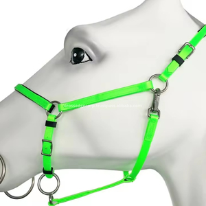 Équipement équestre de style occidental de haute qualité personnalisé et élégant, voile anti-mouches en cuir pour cheval, accessoires en laiton massif, équitation synthétique - Product Image 6