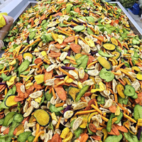 Fruits secs tropicaux mélangés de haute qualité en gros du Vietnam, pure douceur naturelle, emballage sous vide 1kg en tranches