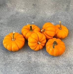 Citrouilles miniatures surgelées IQF de qualité supérieure, légumes surgelés de qualité alimentaire, fournisseur en gros, prix d'usine - Product Image 4