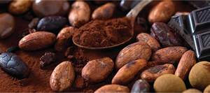 Polvo de cacao alcalinizado de Vietnam de exportación al por mayor, baja acidez, textura suave, estándar de exportación - Product Image 5