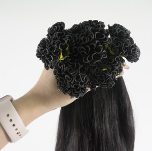 Extensiones de cabello humano recto de color de alta calidad de moda caliente de Vietnam mejor venta al mejor precio-tendencia superior - Product Image 2