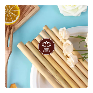 Pajitas de bambú natural reutilizables de gran venta para batidos, pajitas biodegradables ecológicas, cepillo sostenible para pajitas sin residuos - Product Image 1