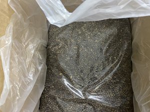 Traitement des semences de papaye séchées Semences noires du Vietnam pour importation Exportation Semences de qualité Fleur de thé aux herbes de papaye - Product Image 4