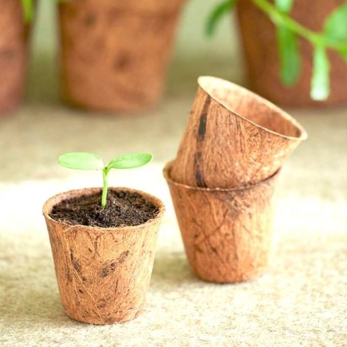 ธรรมชาติ